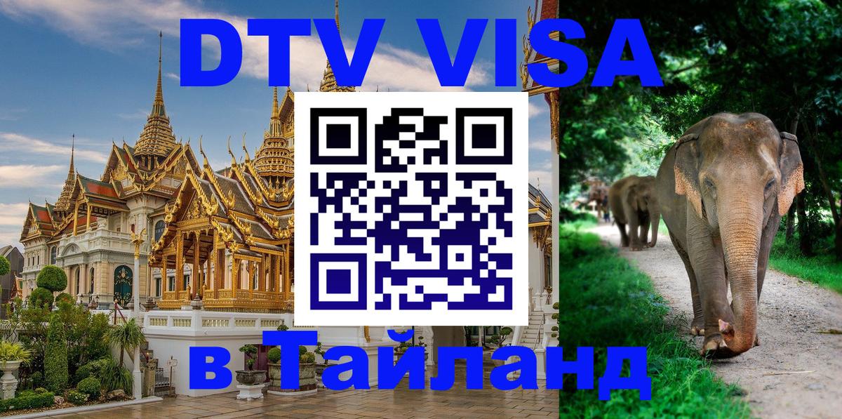 Сколько стоит DTV виза — актуальные цены, оформление даже без документов - Душанбе 